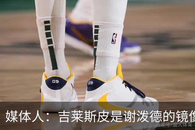 媒体人：吉莱斯皮是谢泼德的镜像版本 后者不进步均薪难超1500万